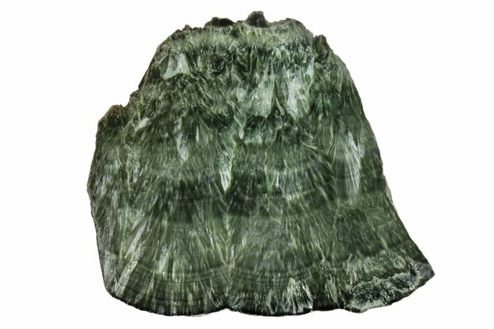 Polished Seraphinite Slab - Siberia #174914